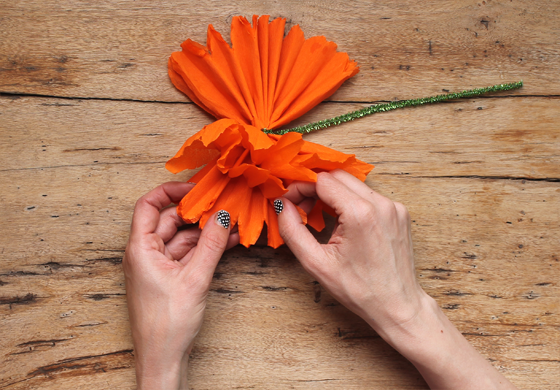 Abriendo en abanico una flor de papel mexicana del día de los muertos 