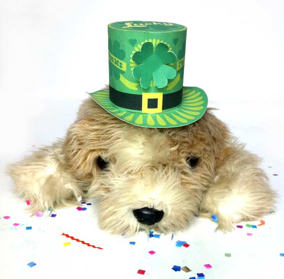 cute puppy for st patricks day dog mini printable paper hat