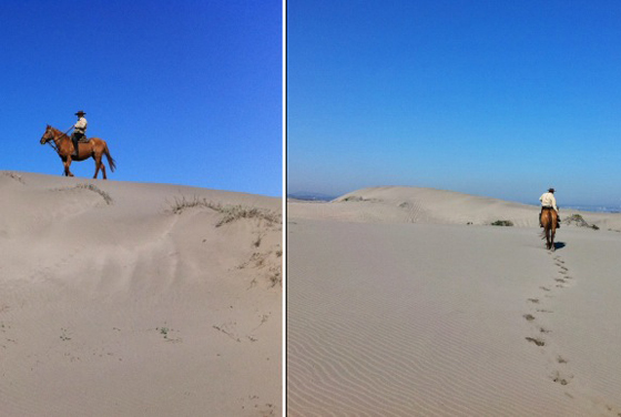 live life beach-calligraphy ritoque beach chile dunes riding horses