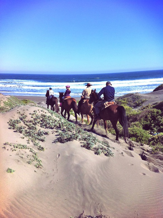 live life beach-calligraphy ritoque beach chile horseback riding