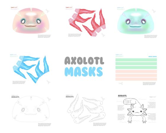 DIY Axolotl mask template: axolotl masks facts activity templates